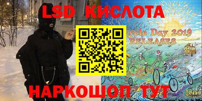 стаф Камышлов