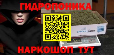 дмт Кандалакша