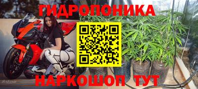 стаф Камышлов