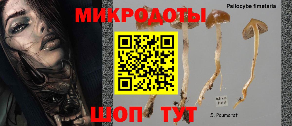 Галлюциногенные грибы мухоморы  Вход с VPN  Дагестанские Огни 